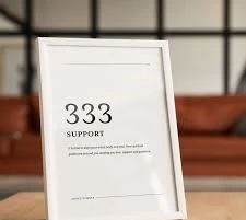 333 meaning for career represented by a professional planning goals at a desk